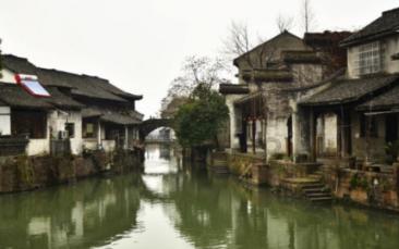 寻找萌小老虎